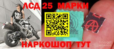 ГАЛЛЮЦИНОГЕННЫЕ ГРИБЫ Тулун