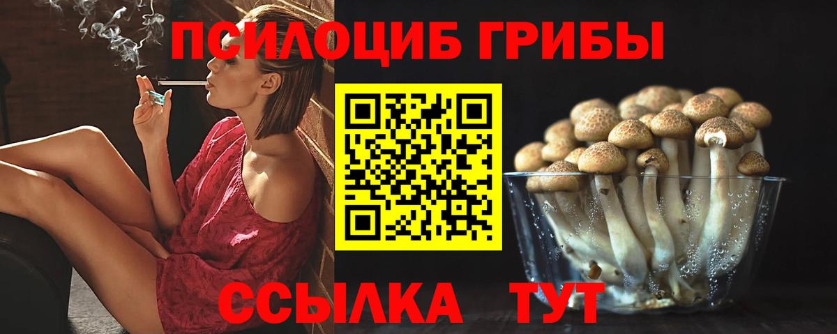 Галлюциногенные грибы GOLDEN TEACHER Новочеркасск